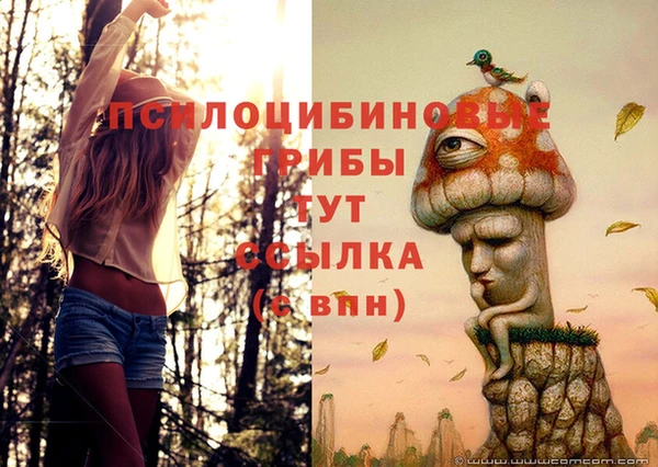 меф VHQ Богданович