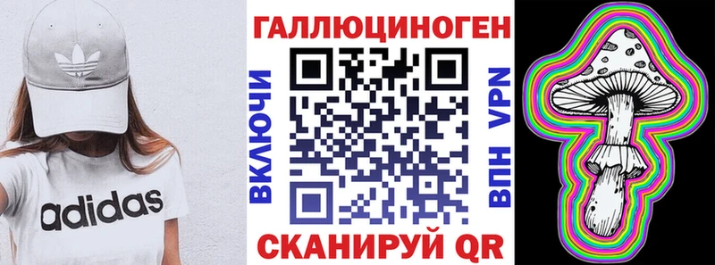 Купить закладки  Петушки  Галлюциногенные грибы Psilocybe 